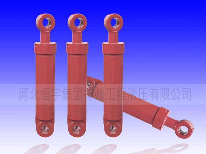 Brazil earring type cylinder